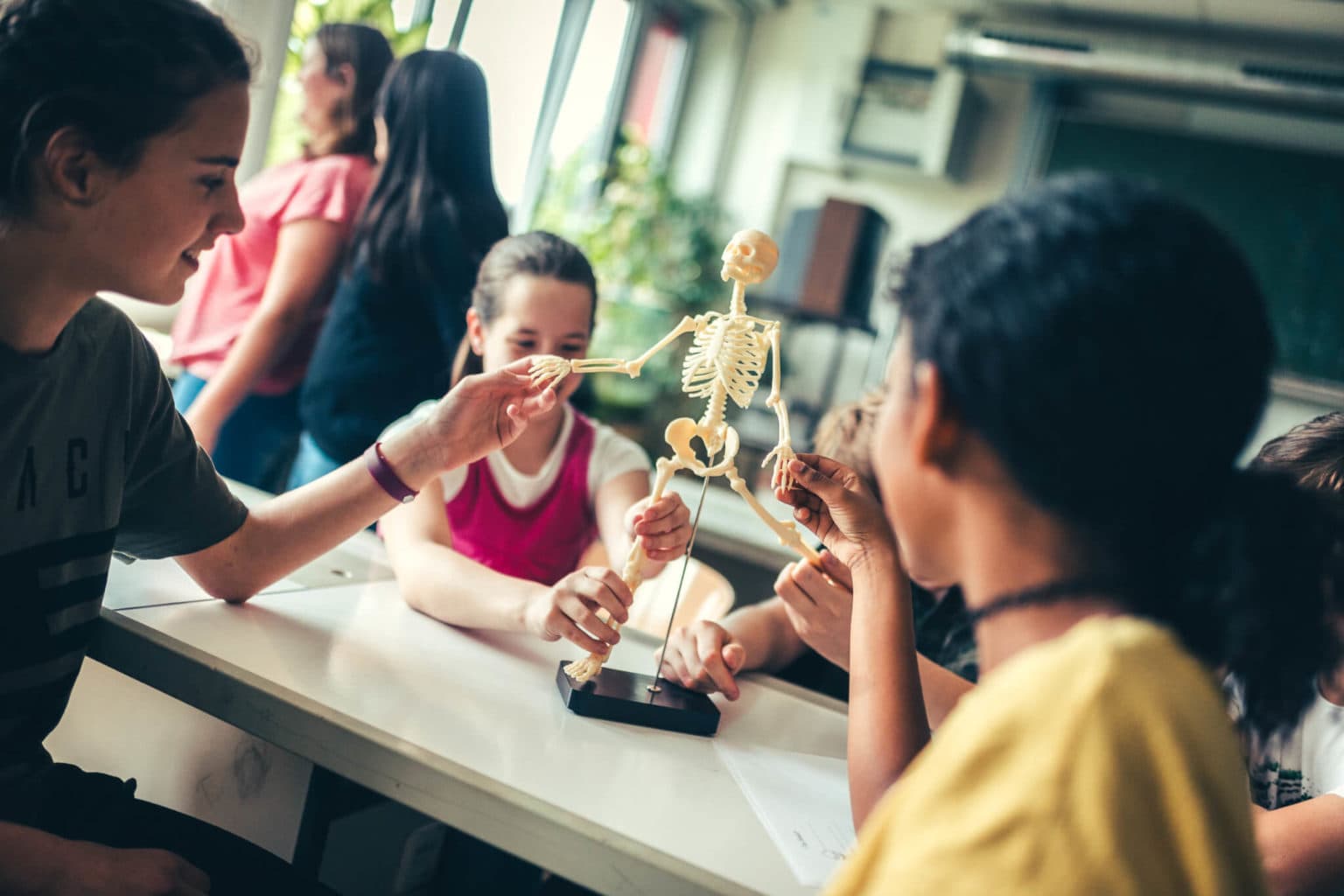 Rund um den Menschen